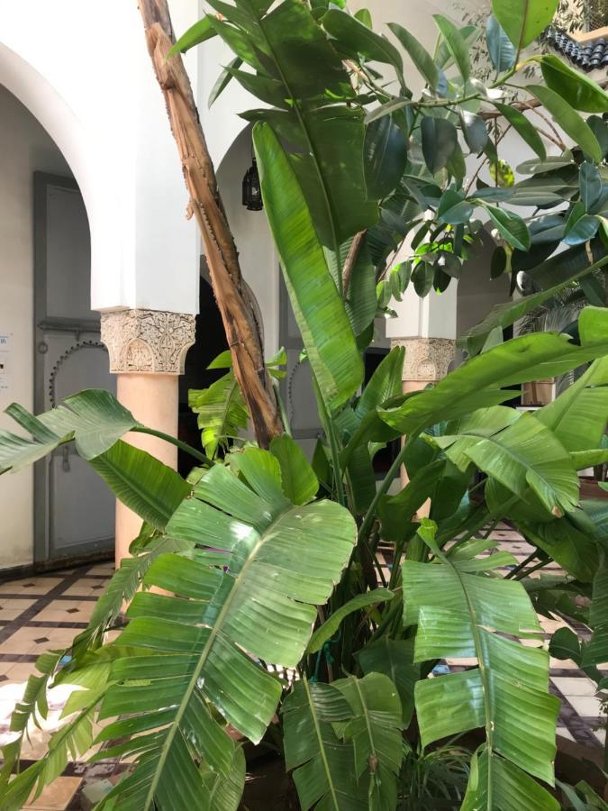 Riad Sahara Nour Marrakesz Zewnętrze zdjęcie